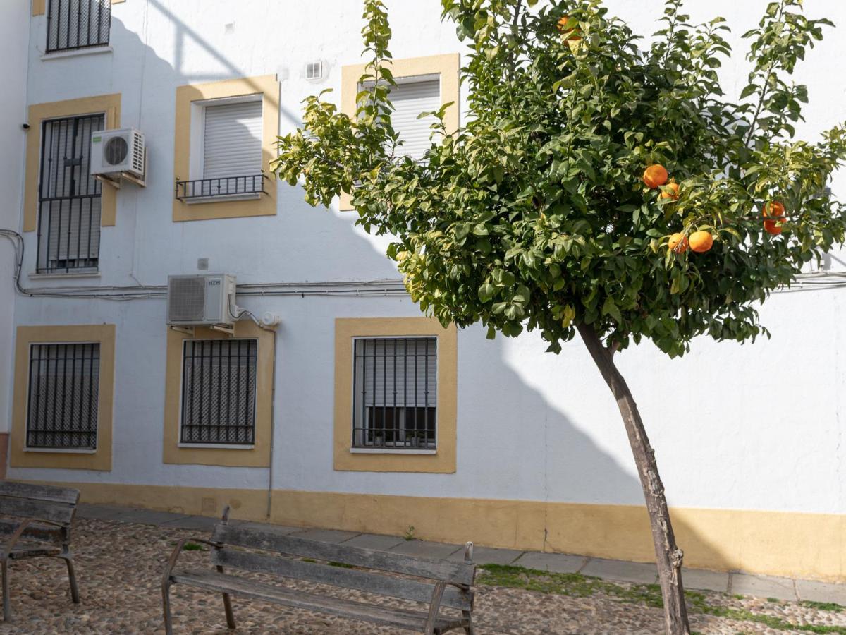 Nayber Gavia - Nuevo y céntrico apartamento en Córdoba Esterno foto